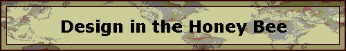 Design in the Honey Bee