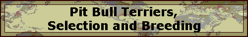 Pit Bull Terriers, Selection and Breeding