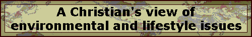 A Christian's view of environmental and lifestyle issues
