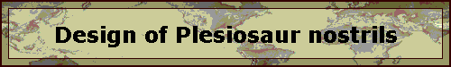 Design of Plesiosaur nostrils