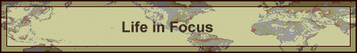 Life in Focus