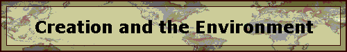 Creation and the Environment