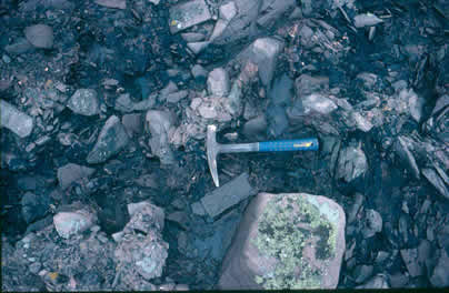 Breccia of greywacke material in the base of the Old Red Sandstone.