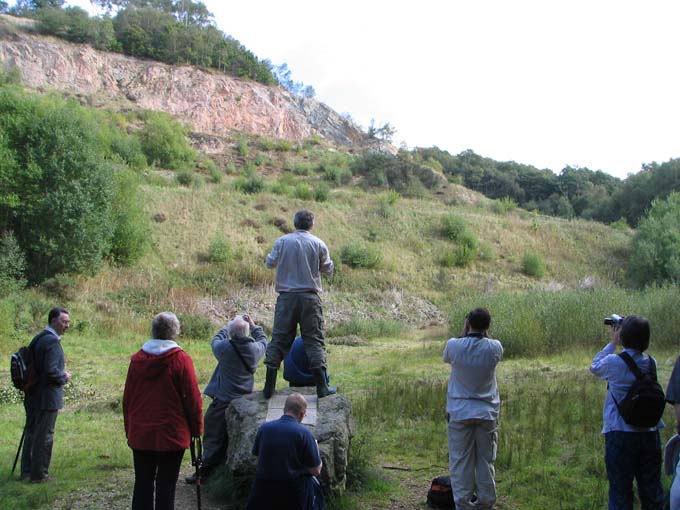 Overview of the Ercall Unconformity