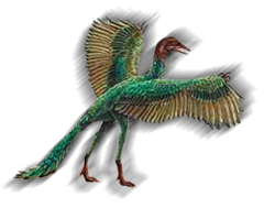 Drawoing of archeopteryx
