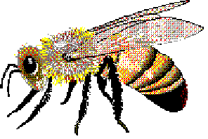 honey Bee